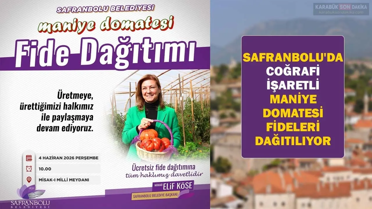 SAFRANBOLU’DA COĞRAFİ İŞARETLİ MANİYE DOMATESİ FİDELERİ DAĞITILIYOR